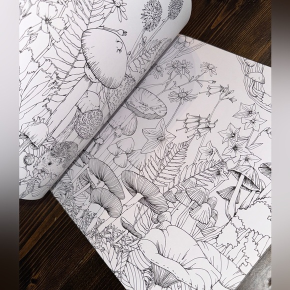 Adult Coloring Books, Set of 5 Secret Garden, Fairy Tales, Princess, Animals NEW - Picture 11 of 11